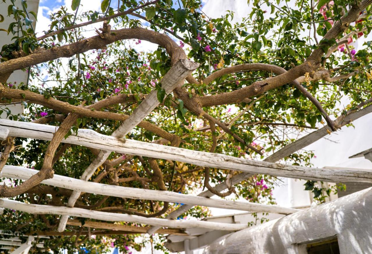 K&K Residence @Mykonos Town Esterno foto